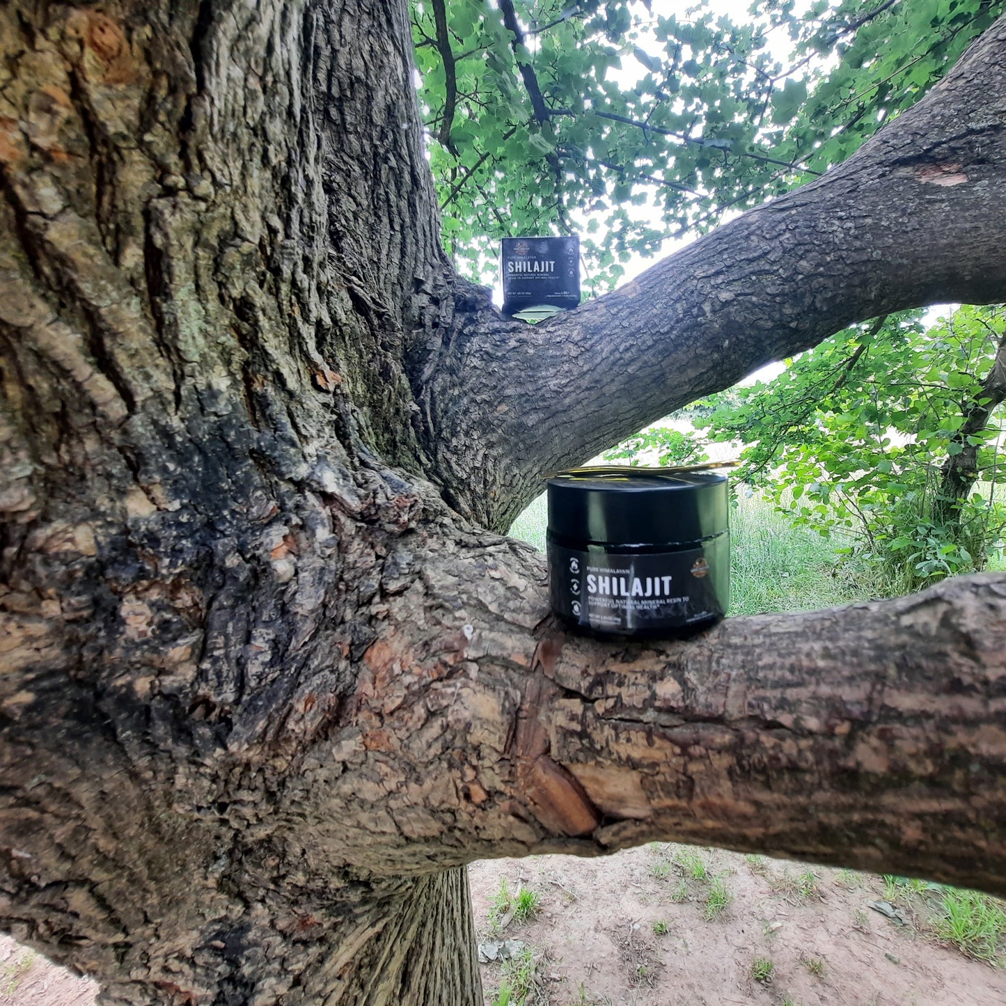 Pure Himalayas Shilajit