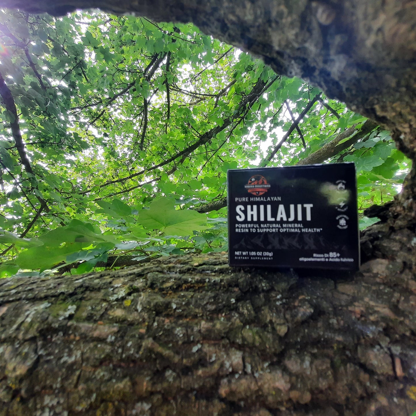 Pure Himalayas Shilajit